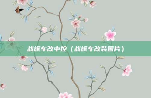 战旗车改中控(战旗车改装图片)