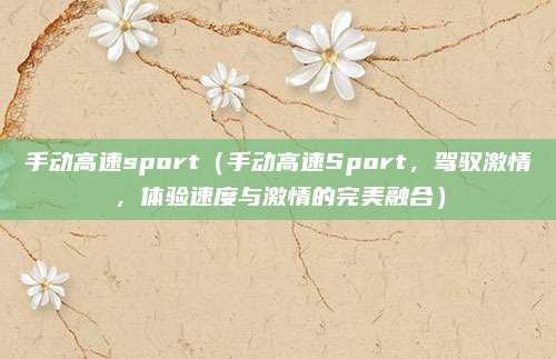 手动高速sport（手动高速Sport，驾驭激情，体验速度与激情的完美融合）