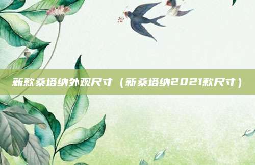 新款桑塔纳外观尺寸(新桑塔纳2021款尺寸)