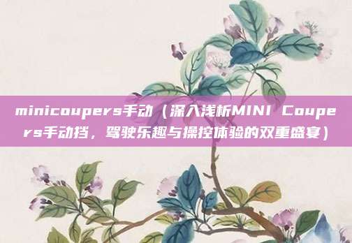 minicoupers手动（深入浅析MINI Coupers手动挡，驾驶乐趣与操控体验的双重盛宴）