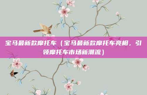 宝马最新款摩托车（宝马最新款摩托车亮相，引领摩托车市场新潮流）