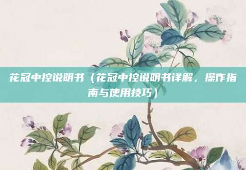 花冠中控说明书（花冠中控说明书详解，操作指南与使用技巧）