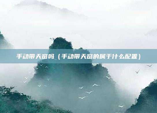 手动带天窗吗(手动带天窗的属于什么配置)