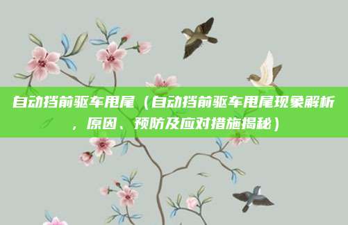 自动挡前驱车甩尾（自动挡前驱车甩尾现象解析，原因、预防及应对措施揭秘）
