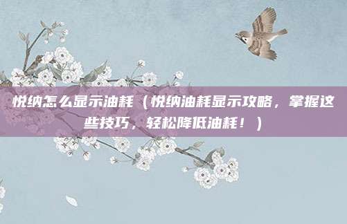 悦纳怎么显示油耗（悦纳油耗显示攻略，掌握这些技巧，轻松降低油耗！）