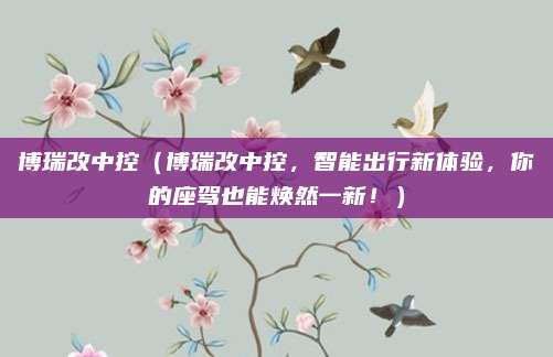 博瑞改中控（博瑞改中控，智能出行新体验，你的座驾也能焕然一新！）