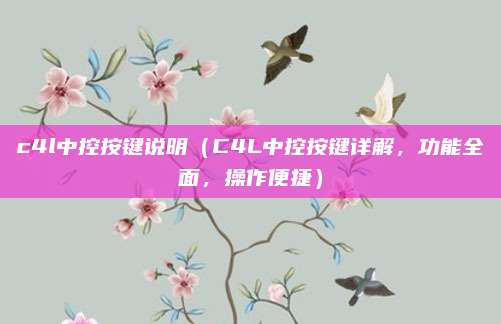 c4l中控按键说明（C4L中控按键详解，功能全面，操作便捷）