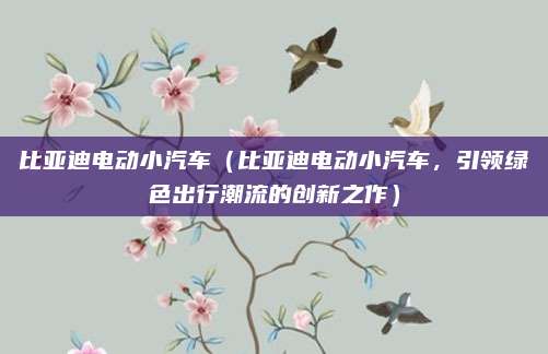 比亚迪电动小汽车（比亚迪电动小汽车，引领绿色出行潮流的创新之作）