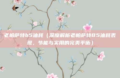 老帕萨特b5油耗（深度解析老帕萨特B5油耗表现，节能与实用的完美平衡）
