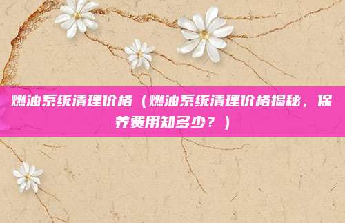 燃油系统清理价格（燃油系统清理价格揭秘，保养费用知多少？）