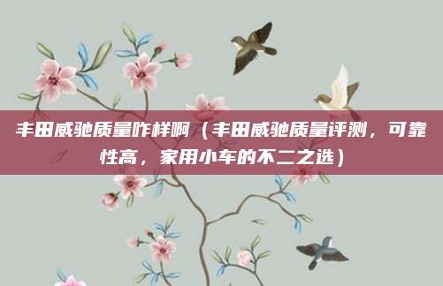 丰田威驰质量咋样啊（丰田威驰质量评测，可靠性高，家用小车的不二之选）