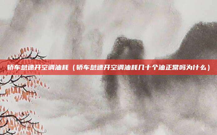 轿车怠速开空调油耗(轿车怠速开空调油耗几十个油正常吗为什么)