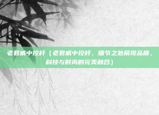 老君威中控杆（老君威中控杆，细节之处展现品质，科技与时尚的完美融合）