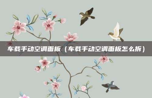 车载手动空调面板(车载手动空调面板怎么拆)