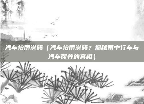 汽车怕雨淋吗（汽车怕雨淋吗？揭秘雨中行车与汽车保养的真相）