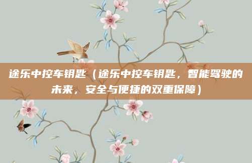途乐中控车钥匙（途乐中控车钥匙，智能驾驶的未来，安全与便捷的双重保障）