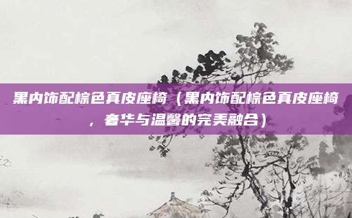 黑内饰配棕色真皮座椅（黑内饰配棕色真皮座椅，奢华与温馨的完美融合）
