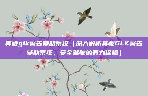 奔驰glk警告辅助系统（深入解析奔驰GLK警告辅助系统，安全驾驶的有力保障）