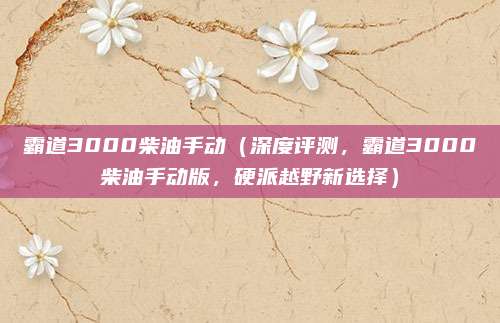 霸道3000柴油手动（深度评测，霸道3000柴油手动版，硬派越野新选择）