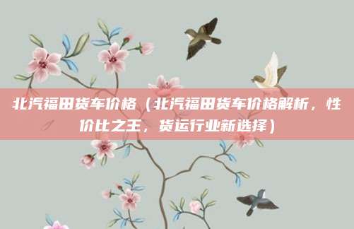 北汽福田货车价格(北汽福田货车价格解析,性价比之王,货运行业新选择)