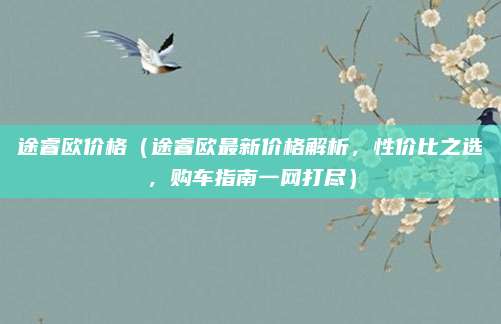 途睿欧价格（途睿欧最新价格解析，性价比之选，购车指南一网打尽）