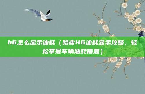 h6怎么显示油耗(哈弗H6油耗显示攻略,轻松掌握车辆油耗信息)