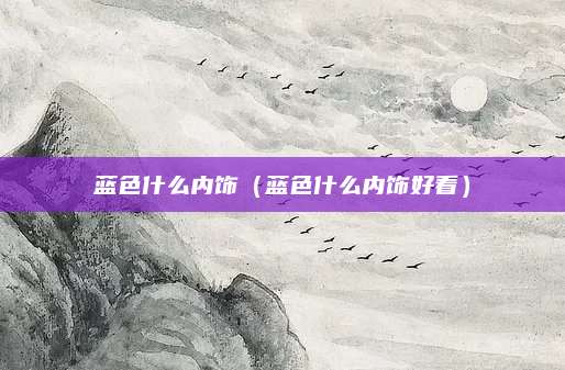 蓝色什么内饰（蓝色什么内饰好看）
