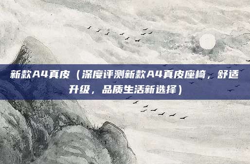 新款A4真皮（深度评测新款A4真皮座椅，舒适升级，品质生活新选择）