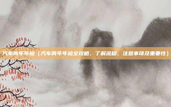 汽车两年年检(汽车两年年检全攻略,了解流程、注意事项及重要性)