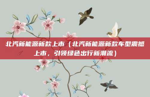 北汽新能源新款上市(北汽新能源新款车型震撼上市,引领绿色出行新潮流)