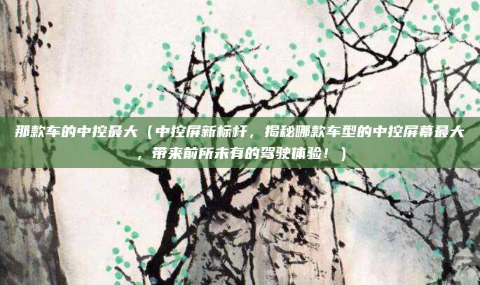 那款车的中控最大(中控屏新标杆,揭秘哪款车型的中控屏幕最大,带来前所未有的驾驶体验!)