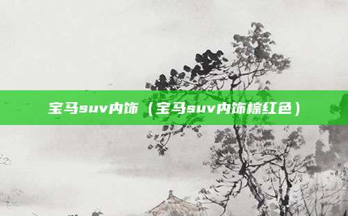 宝马suv内饰(宝马suv内饰棕红色)