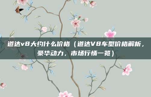 道达v8大约什么价格(道达V8车型价格解析,豪华动力,市场行情一览)