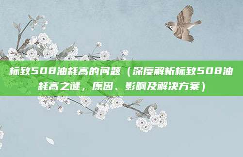 标致508油耗高的问题(深度解析标致508油耗高之谜,原因、影响及解决方案)