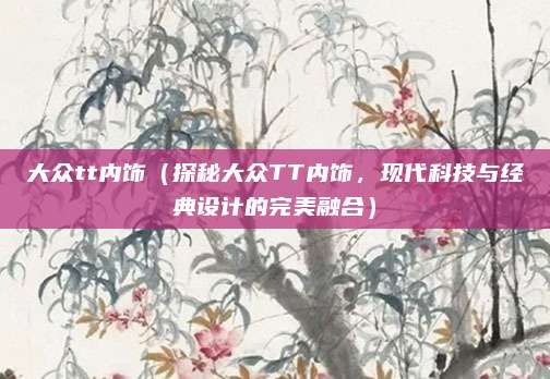 大众tt内饰(探秘大众TT内饰,现代科技与经典设计的完美融合)