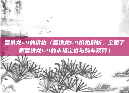 雪铁龙c4的价格(雪铁龙C4价格解析,全面了解雪铁龙C4的市场定位与购车预算)