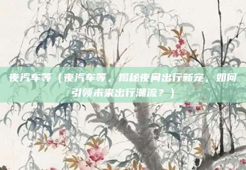 夜汽车等(夜汽车等,揭秘夜间出行新宠,如何引领未来出行潮流?)
