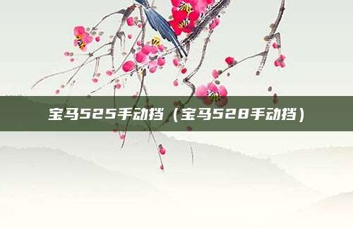 宝马525手动挡(宝马528手动挡)