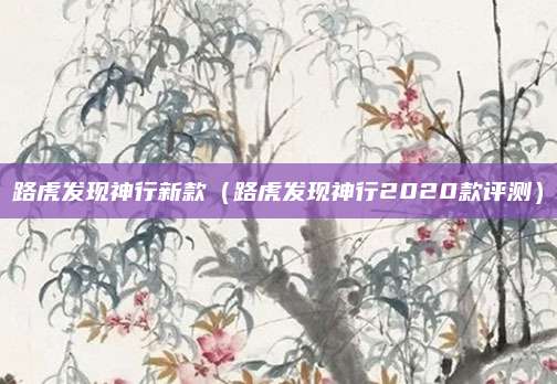 路虎发现神行新款(路虎发现神行2020款评测)