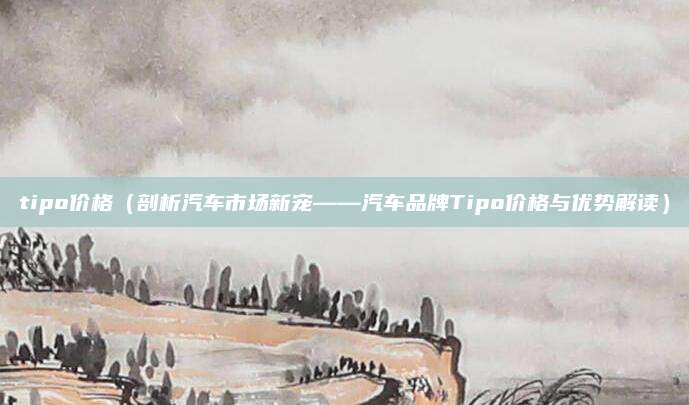 tipo价格(剖析汽车市场新宠——汽车品牌Tipo价格与优势解读)