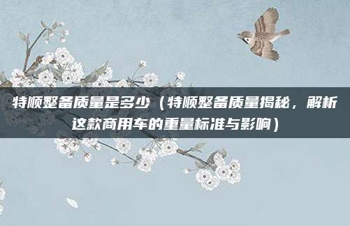 特顺整备质量是多少(特顺整备质量揭秘,解析这款商用车的重量标准与影响)