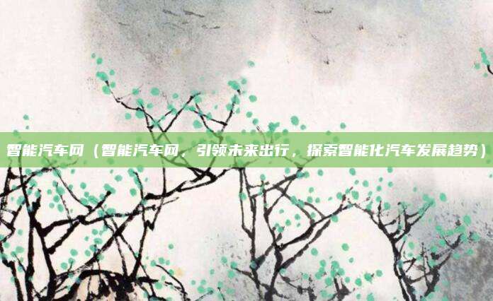 智能汽车网（智能汽车网，引领未来出行，探索智能化汽车发展趋势）