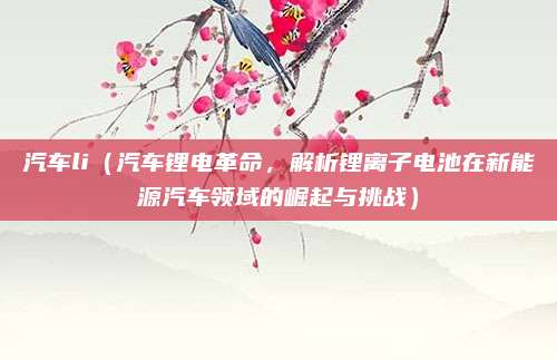 汽车li(汽车锂电革命,解析锂离子电池在新能源汽车领域的崛起与挑战)