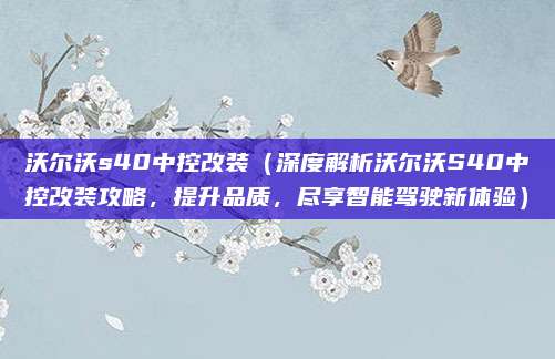沃尔沃s40中控改装(深度解析沃尔沃S40中控改装攻略,提升品质,尽享智能驾驶新体验)