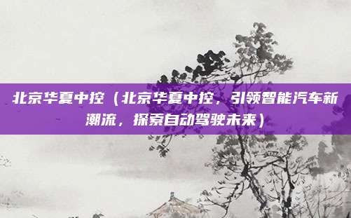 北京华夏中控(北京华夏中控,引领智能汽车新潮流,探索自动驾驶未来)