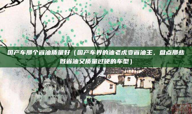 国产车那个省油质量好(国产车界的油老虎变省油王,盘点那些既省油又质量过硬的车型)