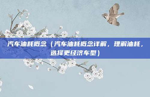 汽车油耗概念(汽车油耗概念详解,理解油耗,选择更经济车型)