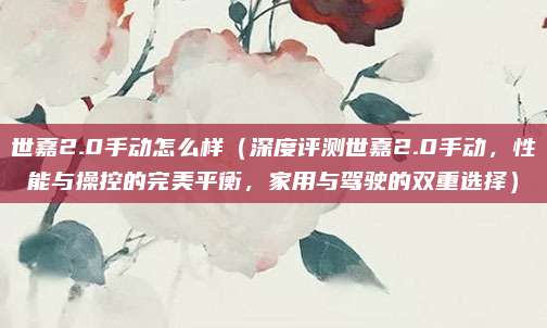 世嘉2.0手动怎么样(深度评测世嘉2.0手动,性能与操控的完美平衡,家用与驾驶的双重选择)