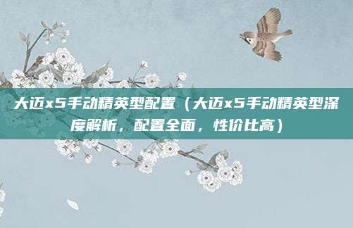 大迈x5手动精英型配置(大迈x5手动精英型深度解析,配置全面,性价比高)
