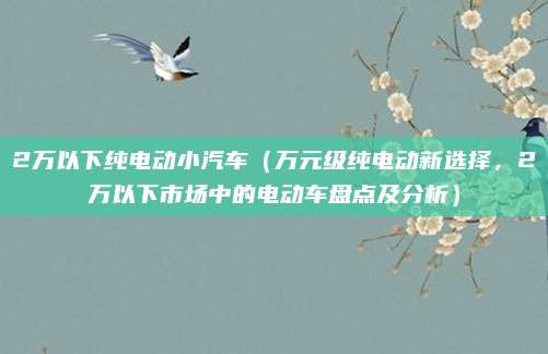 2万以下纯电动小汽车(万元级纯电动新选择,2万以下市场中的电动车盘点及分析)